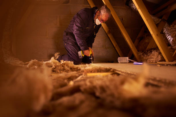 Best Types of Insulation in Santa Venetia, CA